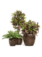 тёмное матовое золото