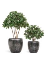 стальное серебро