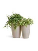 Белый песок