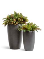 Тёмно-серый бетон