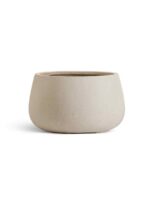 низкая чаша