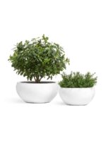 керамический горшок