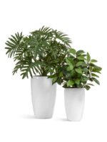 Белый гланцевый лак