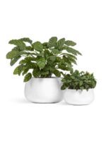 керамический горшок