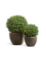 чернёная бронза