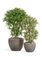 серо-коричневый туф