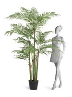 Искусственное дерево Пальма Бамбуковая, Treez 10.011385N — изображение 2