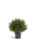 Искусственное дерево Туя Брабант пушистая шаровидная уличная, Treez 10.0224074/3N — изображение 5