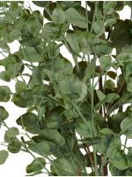 Искусственное растение Эвкалипт куст припылённо-зелёный, Treez 10.0224075/2GG — изображение 3