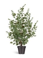 Искусственное растение Эвкалипт куст припылённо-зелёный, Treez 10.0224075/2GG — изображение 4