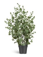 Искусственное растение Эвкалипт куст припылённо-зелёный, Treez 10.0224075/2GG — изображение 5