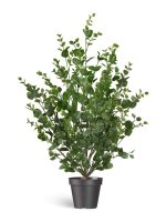 Искусственное растение Эвкалипт куст зелёный, Treez 10.0224076/3N — изображение 3