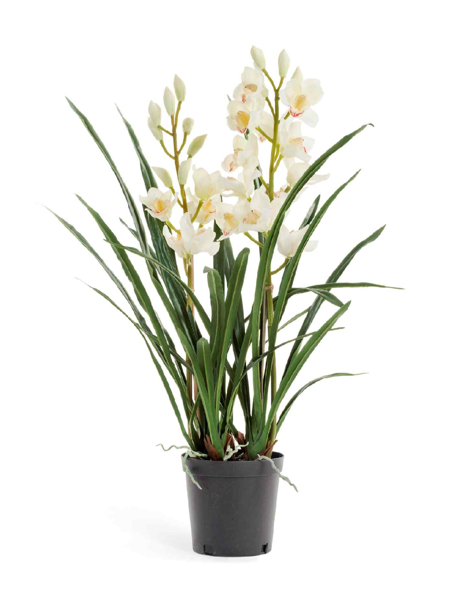 Искусственное растение Орхидея Цимбидиум белая куст в кашпо 2 ветки Искусственное растение Орхидея Цимбидиум белая куст в кашпо 2 ветки
