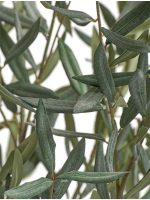 Искусственное дерево Олива Топиари Нэйчерел (серия Prime), Treez 10.0624238N — изображение 2