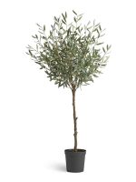 Искусственное дерево Олива Топиари Шар (серия Prime), Treez 10.0624239N