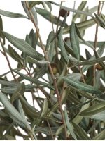 Искусственное дерево Олива Топиари Шар (серия Prime), Treez 10.0624239N — изображение 2