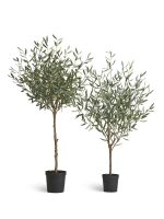 Искусственное дерево Олива Топиари Шар (серия Prime), Treez 10.0624239N — изображение 4