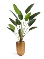 Искусственное дерево Стрелиция Style зелёная, Treez 10.071820/6 — изображение 2