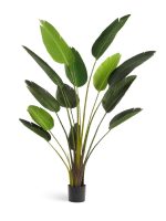 Искусственное дерево Стрелиция Style зелёная, Treez 10.071820/6