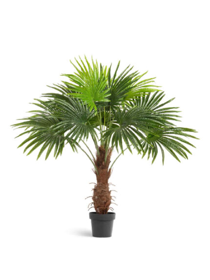 Искусственное дерево Пальма Вашингтония
