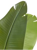 Искусственное дерево Стрелиция New Style (Sensitive Botanic), Treez 10.072434N — изображение 2