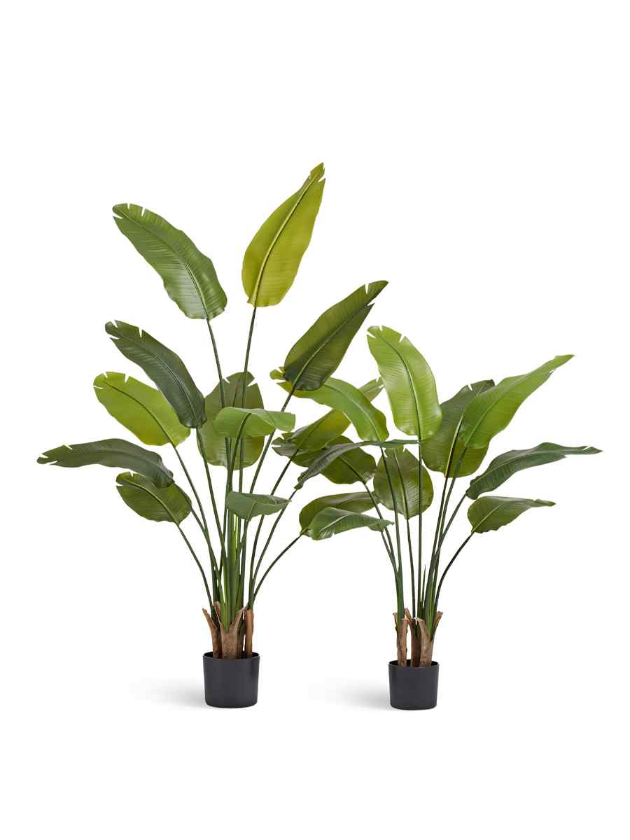 10.072434N-3 Искусственное дерево Стрелиция New Style (Sensitive Botanic), Treez 10.072434N — изображение 1