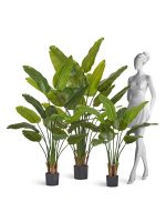 Искусственное дерево Стрелиция New Style (Sensitive Botanic), Treez 10.072434N — изображение 4