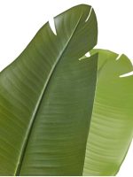 Искусственное дерево Стрелиция New Style (Sensitive Botanic), Treez 10.072435N — изображение 2