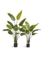 Искусственное дерево Стрелиция New Style (Sensitive Botanic), Treez 10.072435N — изображение 3