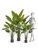 Искусственное дерево Стрелиция New Style (Sensitive Botanic), Treez 10.072435N — изображение 5