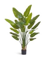 Искусственное дерево Стрелиция New Style (Sensitive Botanic), Treez 10.072436N