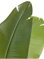 Искусственное дерево Стрелиция New Style (Sensitive Botanic), Treez 10.072436N — изображение 3