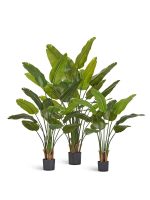 Искусственное дерево Стрелиция New Style (Sensitive Botanic), Treez 10.072436N — изображение 4