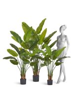 Искусственное дерево Стрелиция New Style (Sensitive Botanic), Treez 10.072436N — изображение 5