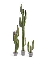 Искусственное дерево Кактус Цереус Мексиканский, Treez 10.091828N