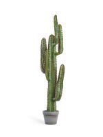 Искусственное дерево Кактус Цереус Мексиканский, Treez 10.091827N — изображение 2