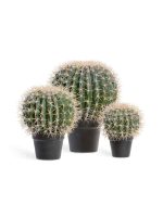 Искусственное дерево Кактус Баррель, Treez 10.091830N — изображение 2