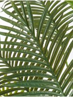 Искусственное дерево Пальма Арека Хризалидокарпус New, Treez 10.11957N — изображение 2