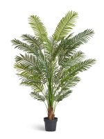 Искусственное дерево Пальма Арека Хризалидокарпус New, Treez 10.11957N