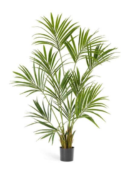 Искусственное дерево Пальма Кентия (Ховея)