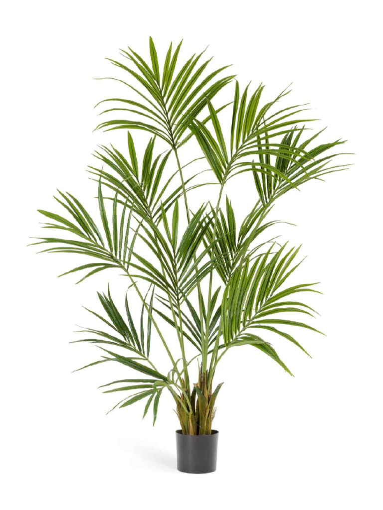 Искусственное дерево Пальма Кентия (Ховея)