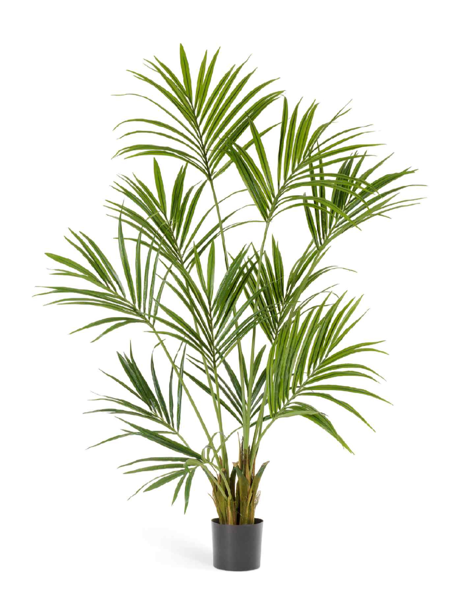 Искусственное дерево Пальма Кентия (Ховея) Искусственное дерево Пальма Кентия (Ховея)