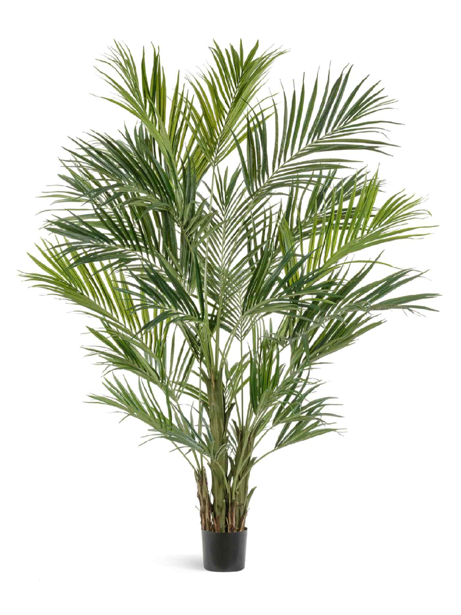 Искусственное дерево Пальма Кентия (Ховея) де Люкс Искусственное дерево Пальма Кентия (Ховея) де Люкс