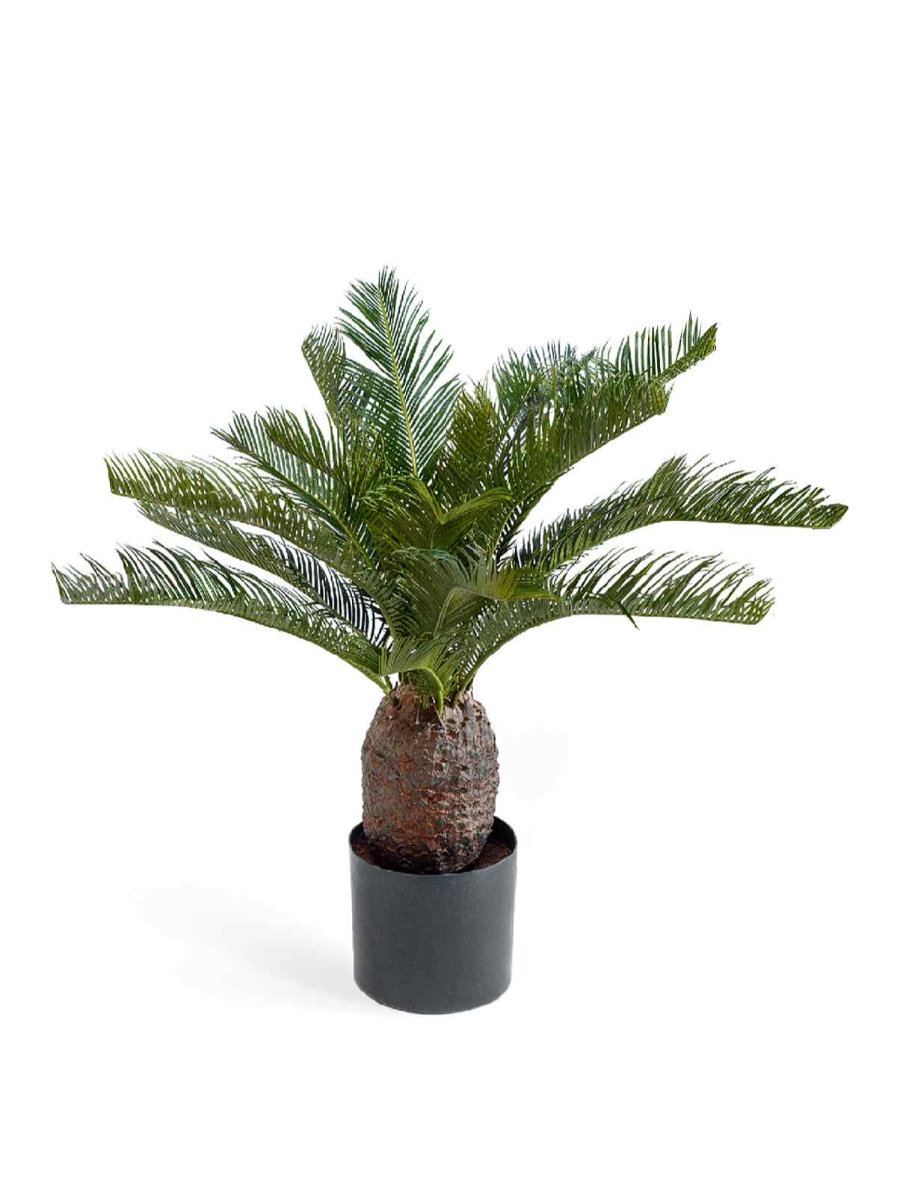 Искусственное дерево Пальма Цикас 65 и 70 см Искусственное дерево Пальма Цикас 65 и 70 см