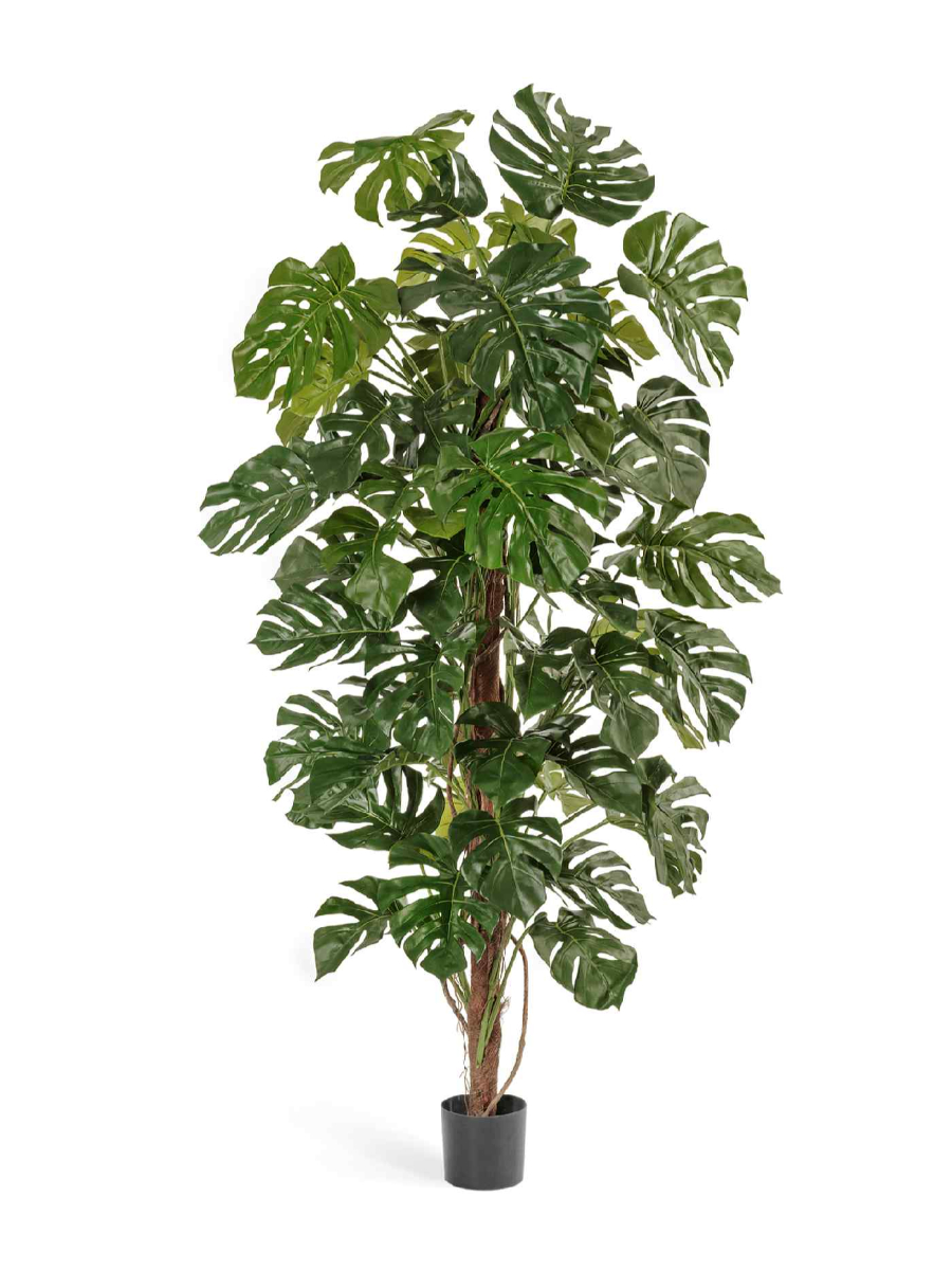 Искусственное дерево Монстера на стволе большая Искусственное дерево Монстера на стволе большая