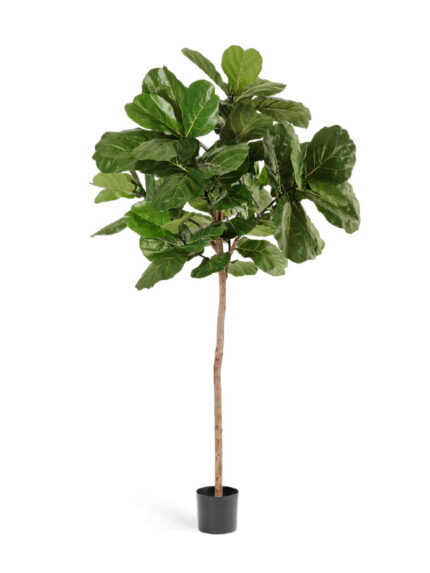 Искусственное дерево Фикус Лирата Style на штамбе