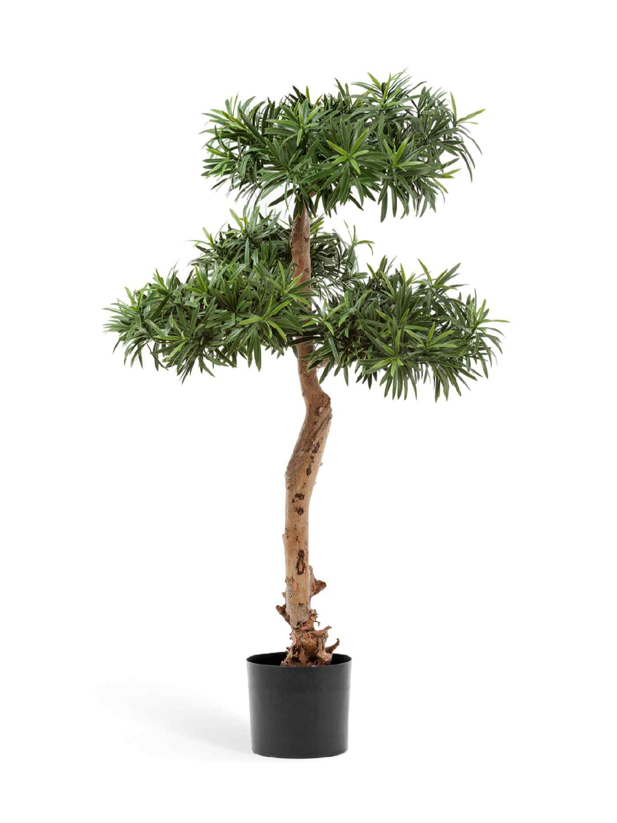 Искусственное дерево Подокарпус Элит Искусственное дерево Подокарпус Элит