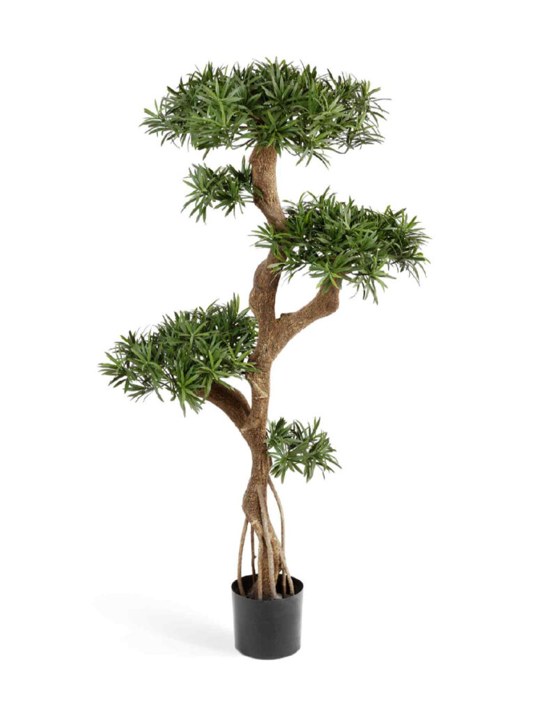 Искусственное дерево Подокарпус на забавном стволе Новый