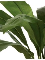 Искусственное дерево Кордилина Фрутикоза зелёная, Treez 10.25007N — изображение 2