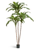 Искусственное дерево Кордилина Фрутикоза зелёная, Treez 10.25007N